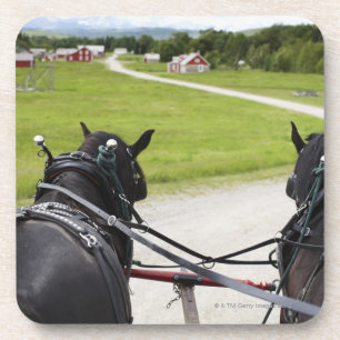 Perchon horses pulling cart against historic coaster