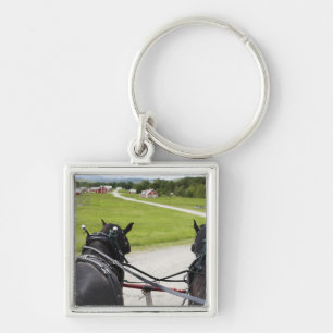 Perchon horses pulling cart against historic keychain