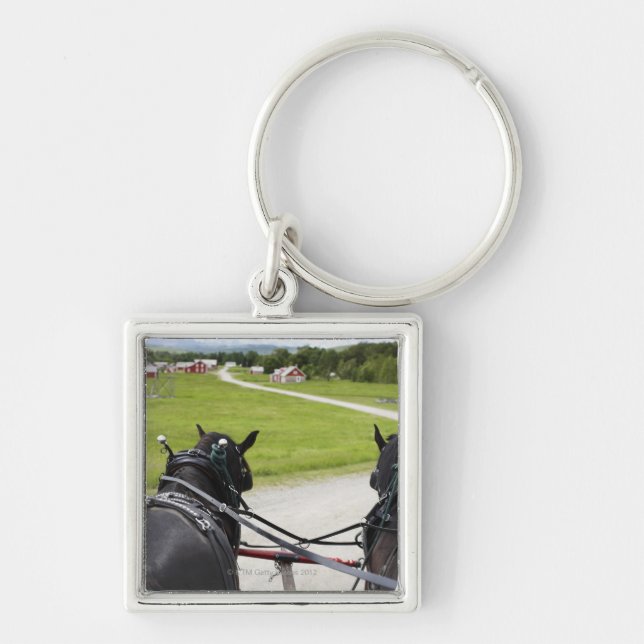 Perchon horses pulling cart  against historic keychain (Front)