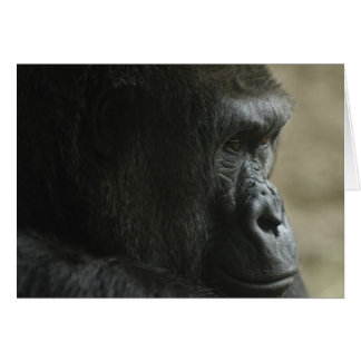 Perdu dans la pensée