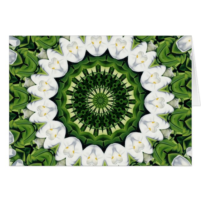 Perdu dans le paradis (Devant horizontal)