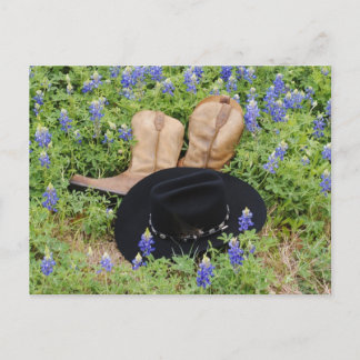Perdu parmi la carte postale Bluebonnets