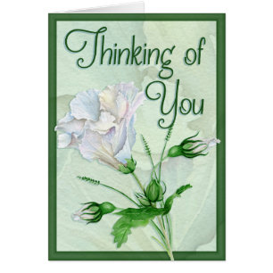 Perdu quelqu'un de précieux