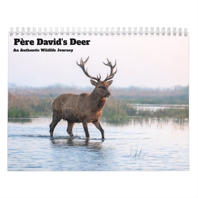 Père David’s Deer 2027 Wall Calendar (Cover)