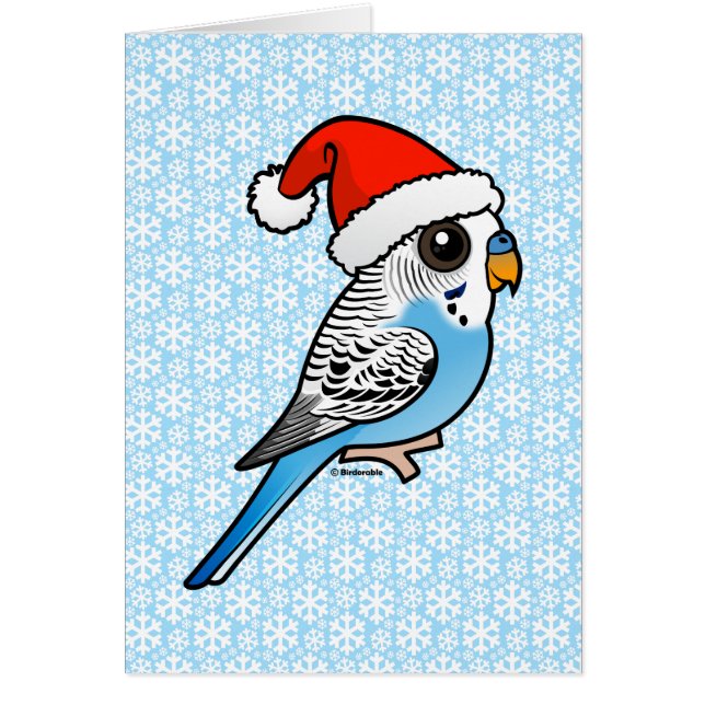 Père Noël Budgie Blue (Devant)