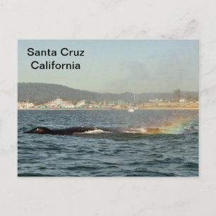 Père Noël Cruz, CA Carte postale Arc-en-ciel pour 