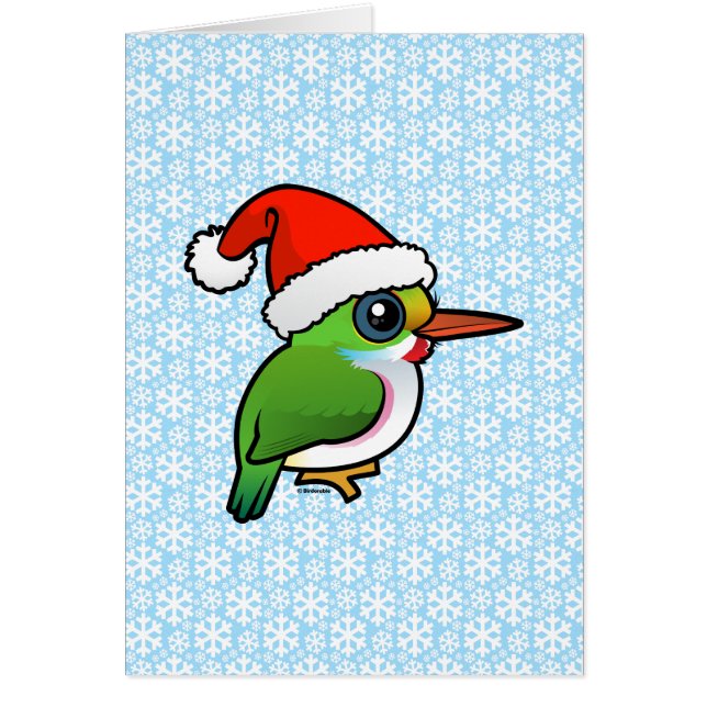 Père Noël Cuban Tody (Devant)