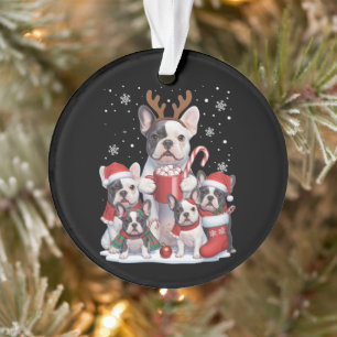 Père Noël drôle chiens Bouledogues Français Noël X