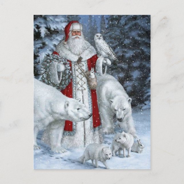 Père Noël et animaux blancs Postcard (Front)