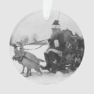 Père Noël et son renne de la Turquie