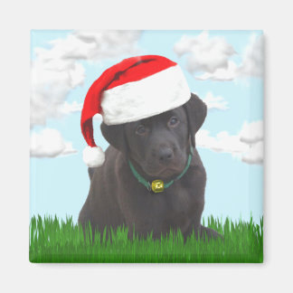 Père Noël Lab Magnet