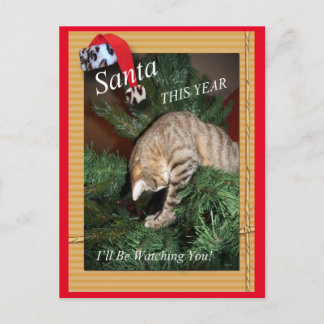 Père Noël Le Chat Vous Regardera Carte Postale
