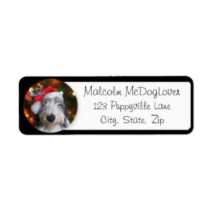 Père Noël Old English Sheepdog