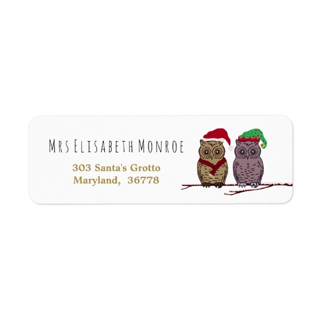 Père Noël Owl et Elf Owl (Devant)