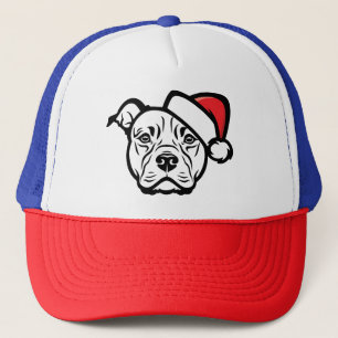 Père Noël Paws : AmStaff Dog in Festive Casquette
