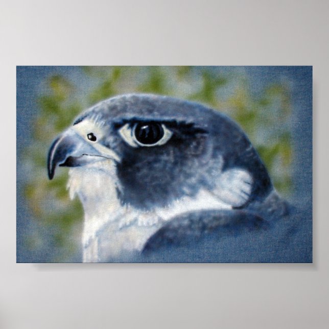 Peregrine-airbrush Poster (Front)
