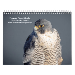 Peregrine Falcon 2025 Calendar