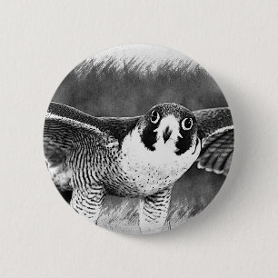 Peregrine Falcon 2 Inch Round Button