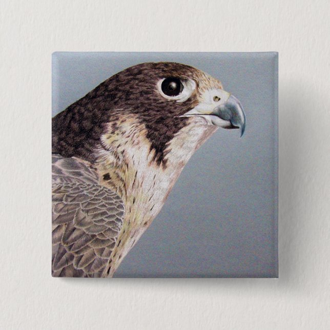 Peregrine Falcon 2 Inch Square Button (Front)