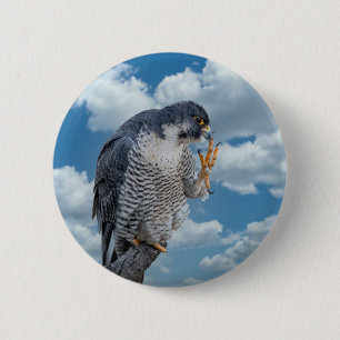 Peregrine Falcon along the Hudson River 2 Inch Round Button