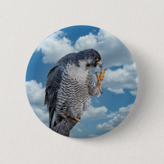 Peregrine Falcon along the Hudson River 2 Inch Round Button