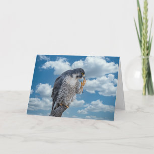 Peregrine Falcon along the Hudson River Card