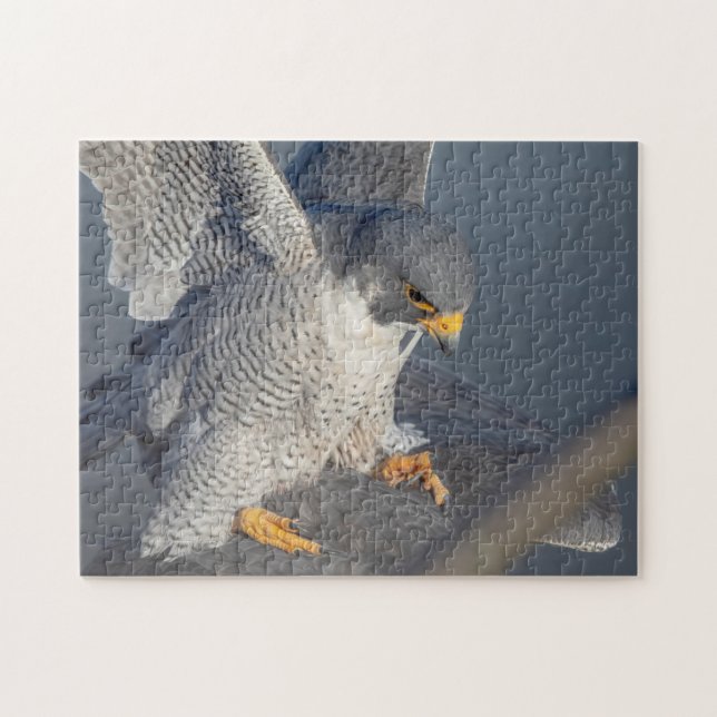 Peregrine Falcon along the Hudson River Jigsaw Puzzle (Horizontal)