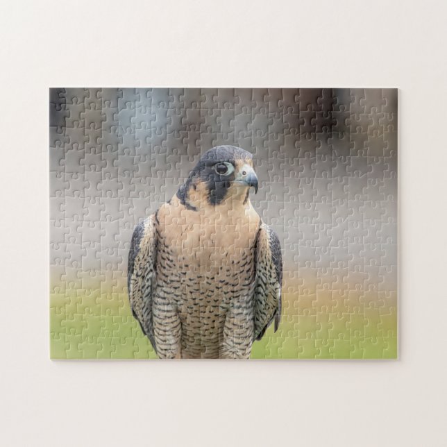 Peregrine Falcon along the Hudson River Jigsaw Puzzle (Horizontal)