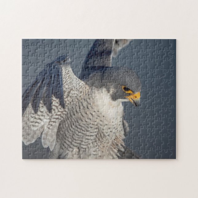 Peregrine Falcon along the Hudson River Jigsaw Puzzle (Horizontal)
