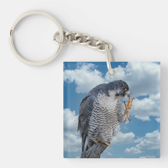 Peregrine Falcon along the Hudson River Keychain (Front)