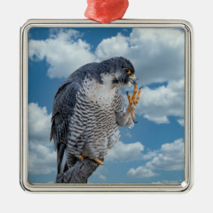 Peregrine Falcon along the Hudson River Metal Ornament