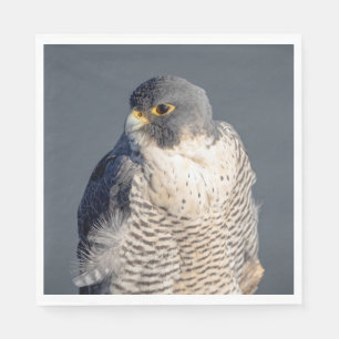 Peregrine Falcon along the Hudson River Napkin