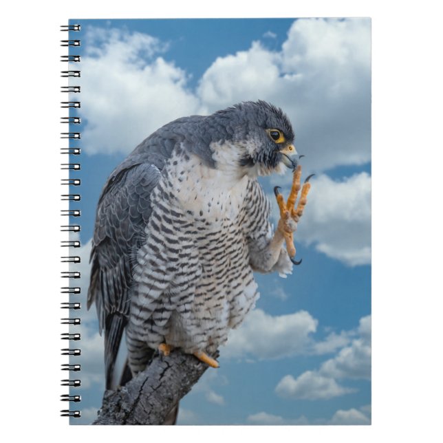 Peregrine Falcon along the Hudson River Notebook (Front)