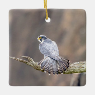 Peregrine Falcon at the Palisades Interstate Park Ceramic Ornament