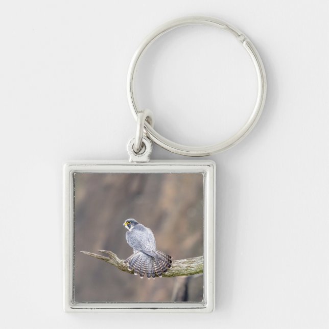 Peregrine Falcon at the Palisades Interstate Park Keychain (Front)