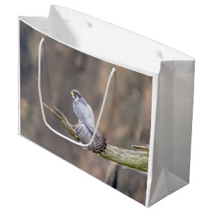 Peregrine Falcon at the Palisades Interstate Park Large Gift Bag