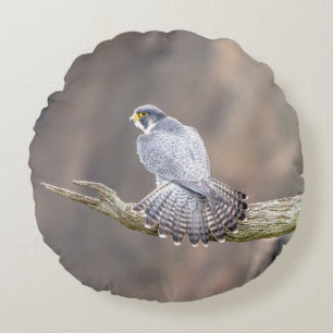 Peregrine Falcon at the Palisades Interstate Park Round Pillow