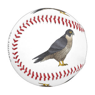Peregrine falcon bird cartoon illustration baseball