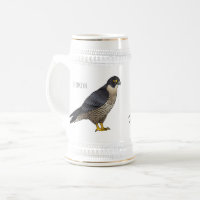 Peregrine falcon bird cartoon illustration