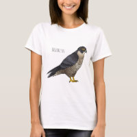 Peregrine falcon bird cartoon illustration 