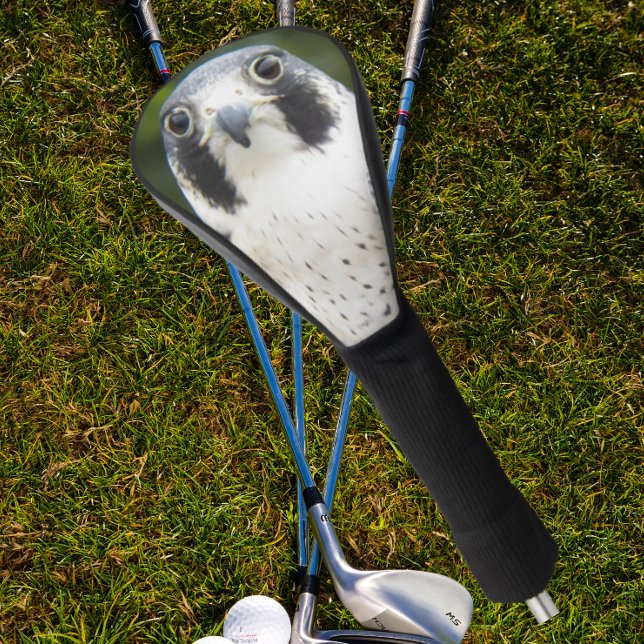 Peregrine Falcon Bird of Prey Photo Golf Head Cover (In Situ Golfing)