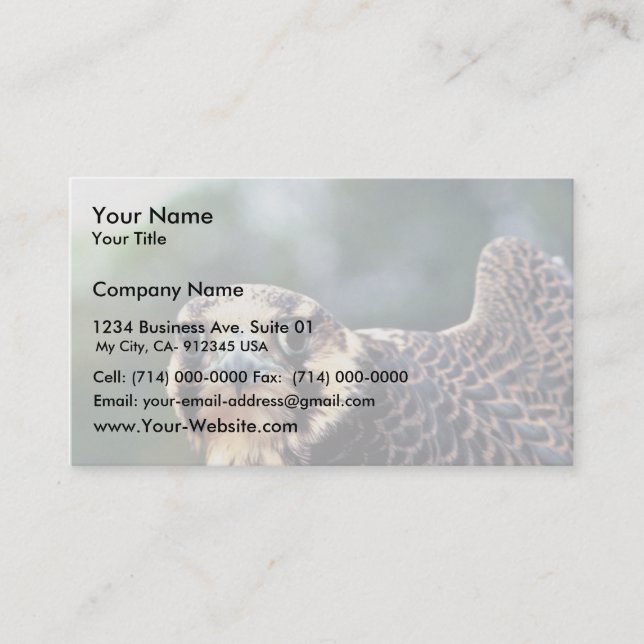 Peregrine Falcon Business Card (Front)