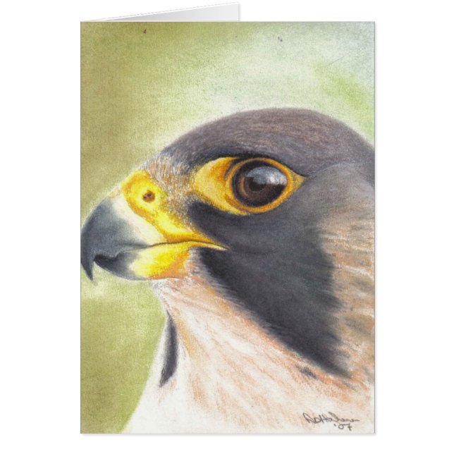 Peregrine Falcon card (Front)