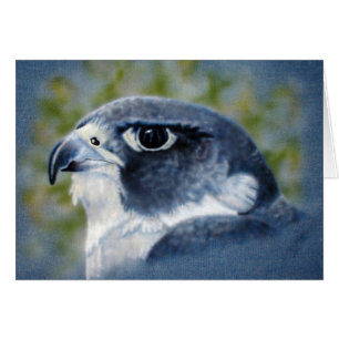 Peregrine Falcon Card