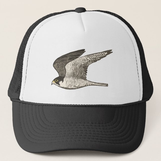 Peregrine Falcon Coloured Pencil Art Trucker Hat (Front)