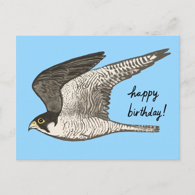 Peregrine Falcon Coloured Pencil HAPPY BIRTHDAY Postcard (Front)