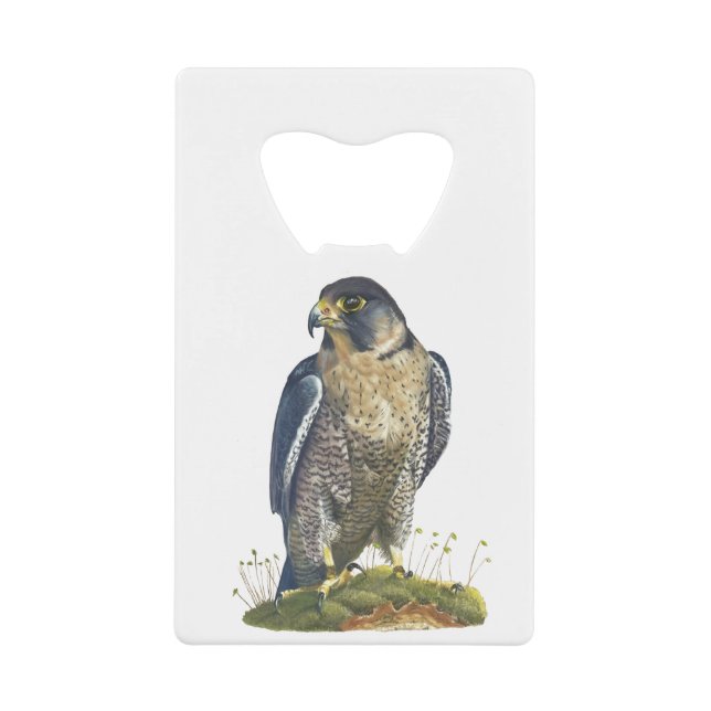 Peregrine Falcon  Credit Card Bottle Opener (Front)