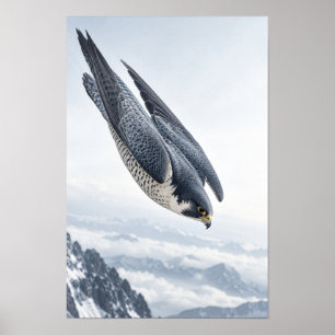 Peregrine Falcon Diving Over Snowy Mountains Wildl Poster