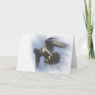 Peregrine Falcon in Flight Card