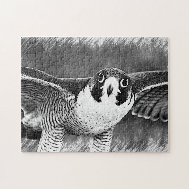 Peregrine Falcon Jigsaw Puzzle (Horizontal)